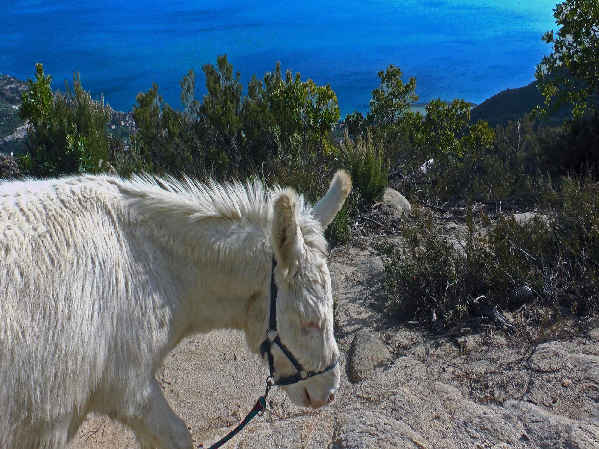 Agriturismo Monaci Templari Villa Seborga Buitenkant foto